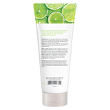 Shave CreamKey Lime Pie 12.5 fl oz