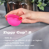 Ziggy Cup 2 Size B