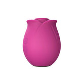 Blush Collection The Original Blush Rose