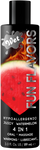 Fun Flavors Juicy Watermelon 4 in 1 3oz